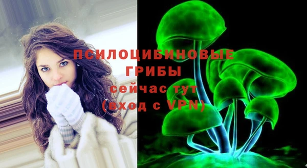 a pvp Белокуриха