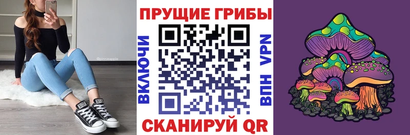 цена   Улан-Удэ  Галлюциногенные грибы Psilocybine cubensis 